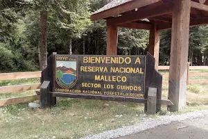 Malleco National Reserve image