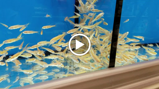 Pet Supply Store «Pet Supplies Plus», reviews and photos, 4250 N Alafaya Trail #240, Oviedo, FL 32765, USA