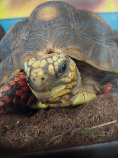 Pet Store «Critters & Co Pet Center», reviews and photos, 11042 WA-525, Clinton, WA 98236, USA