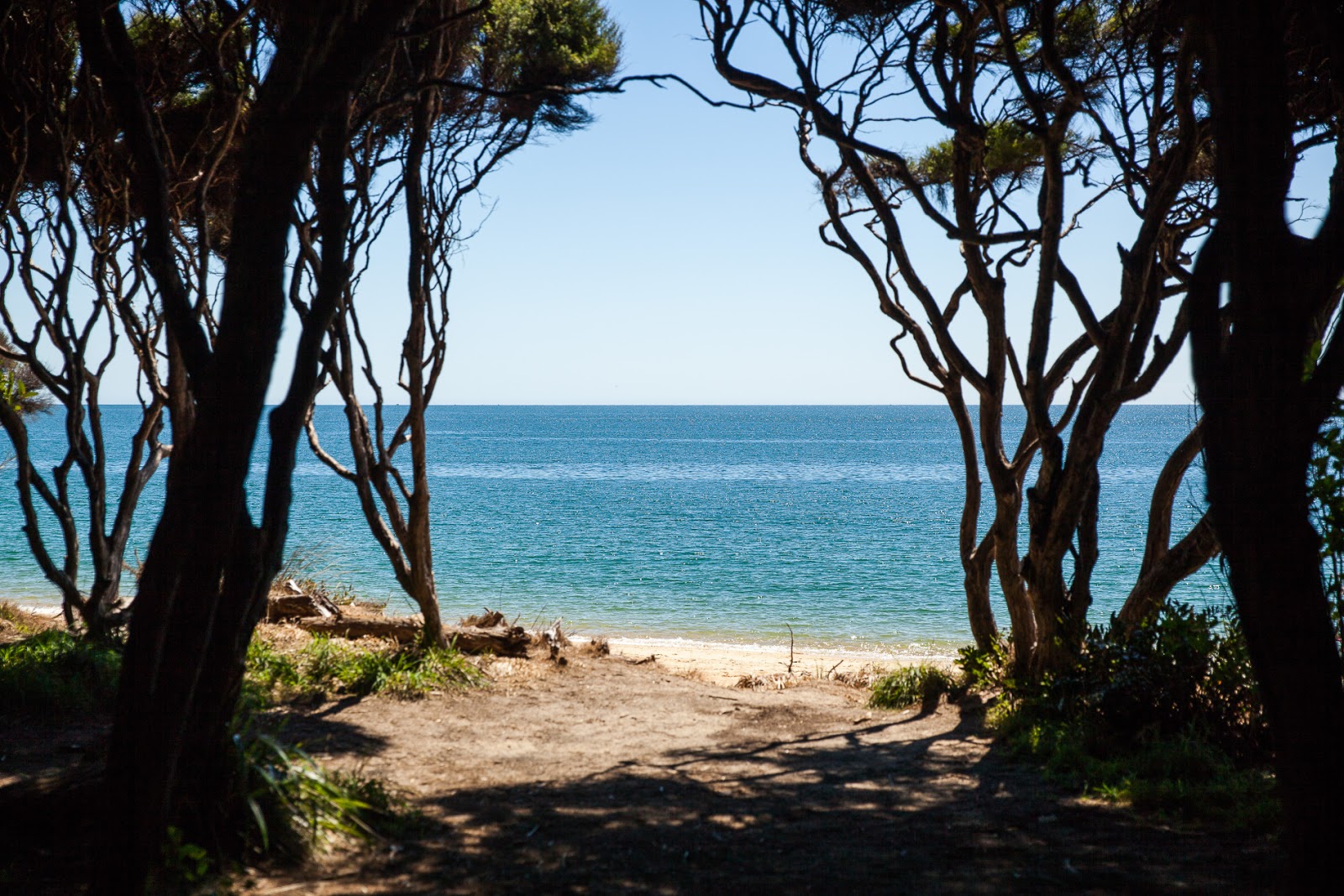 Foto von Anapai Beach und seine wunderschöne Landschaft