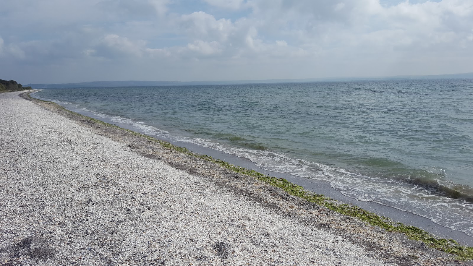 Plage de Figuerolles'in fotoğrafı doğal alan içinde bulunmaktadır
