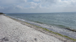 Plage de Figuerolles'in fotoğrafı doğal alan içinde bulunmaktadır