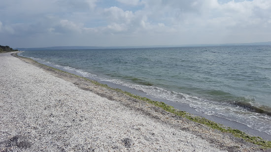 Plage de Figuerolles