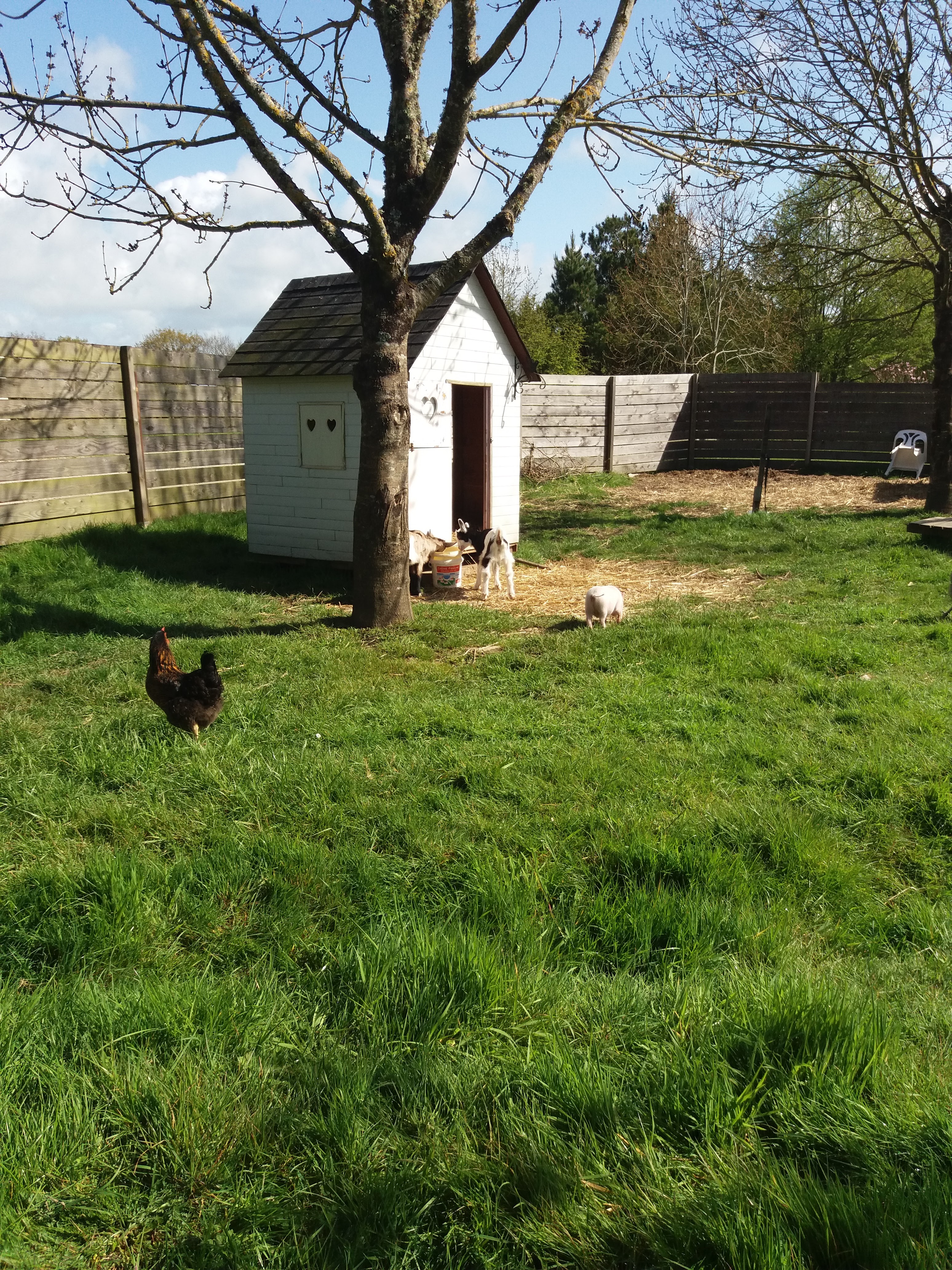 Photo n° 3 de l'avis de Sarah.o fait le 04/04/2017 à 10:52