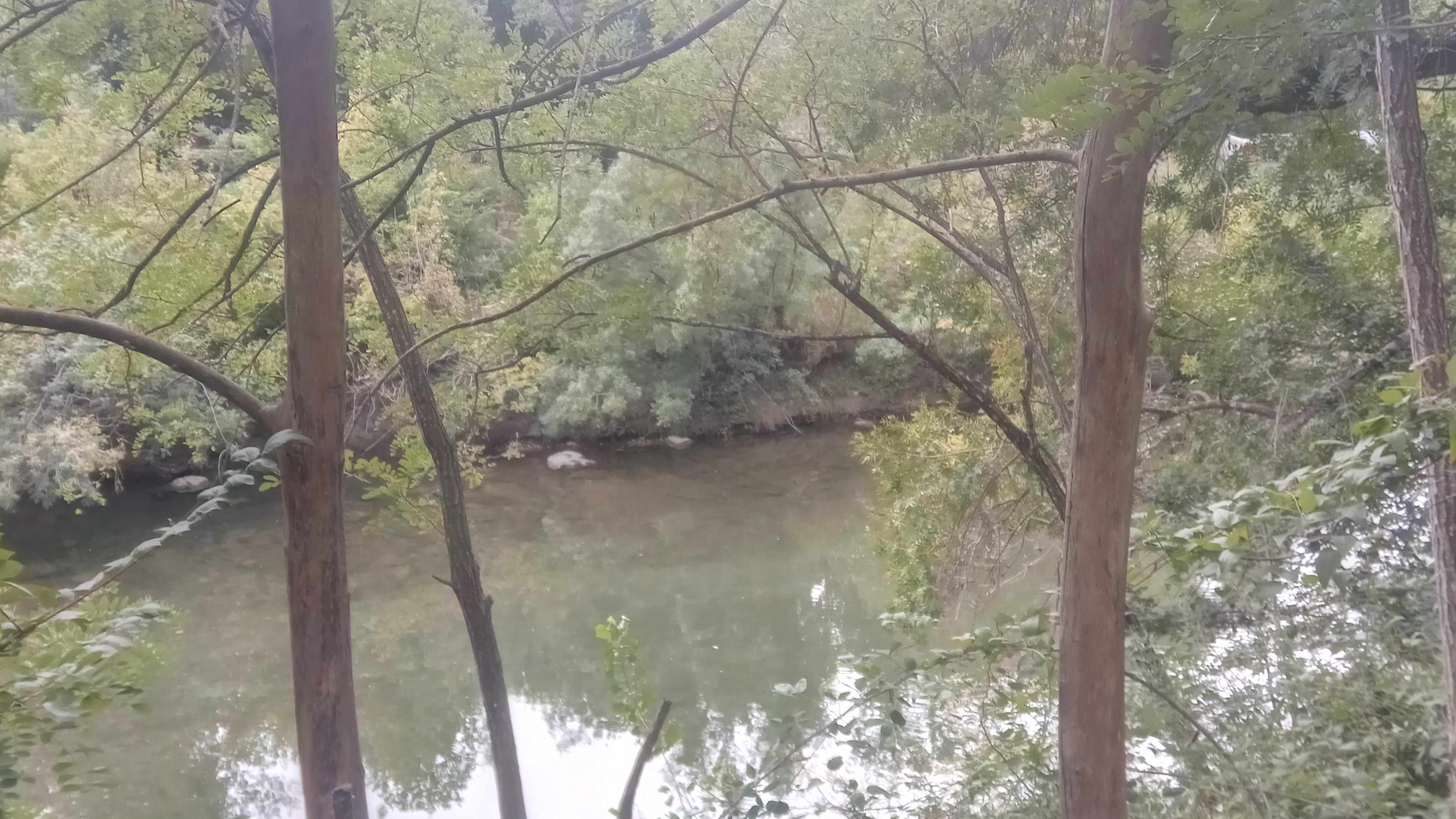 Photo n° 4 de l'avis de Dhennin.a fait le 17/08/2020 à 12:09