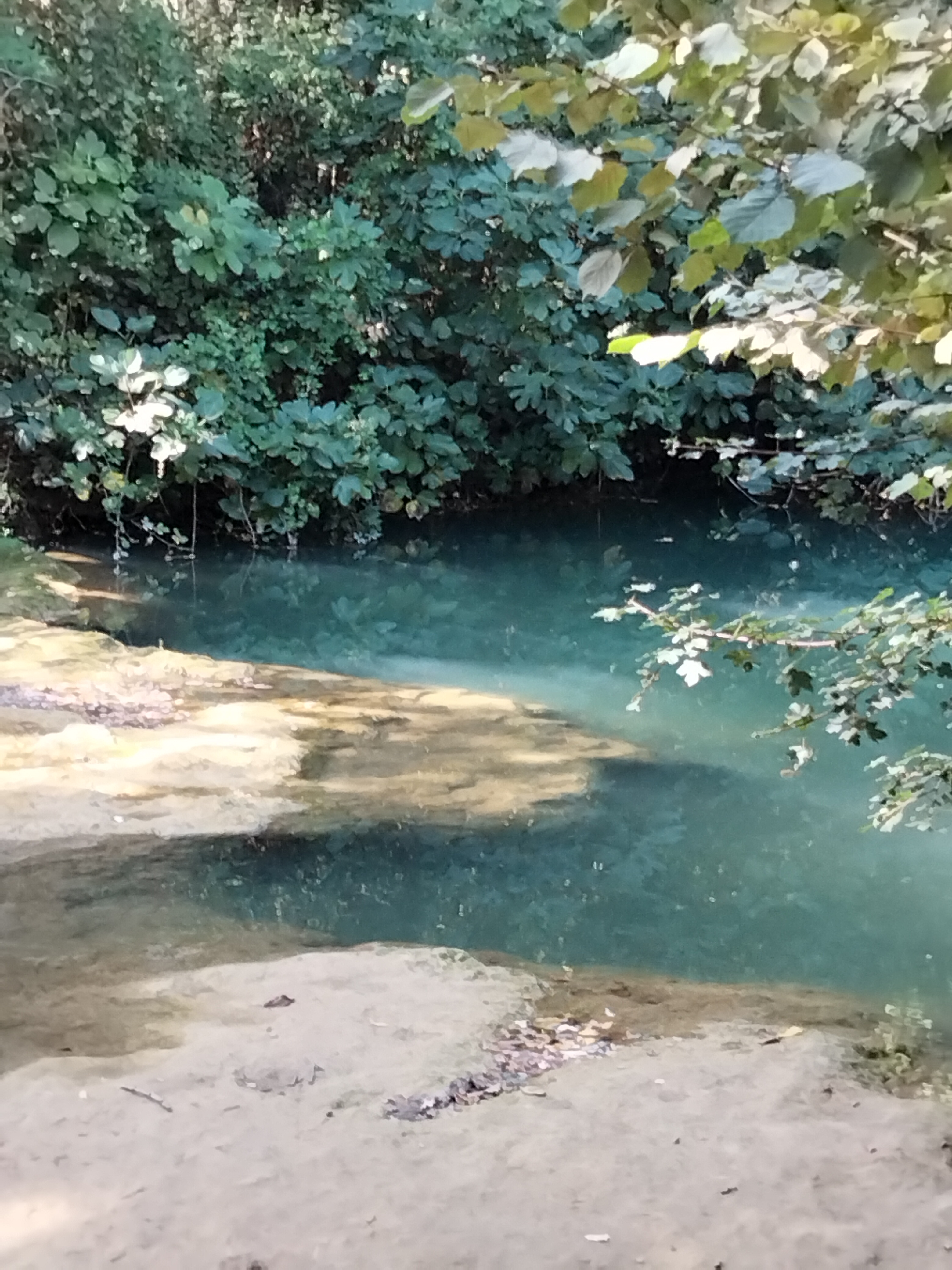 Photo n° 8 de l'avis de michèle. fait le 08/10/2023 à 17:21