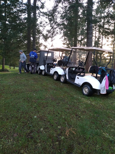 Golf Course «Horseshoe Lake Golf Course», reviews and photos, 1250 SW Club House Ct, Port Orchard, WA 98367, USA