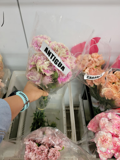 Florist «Botanica Wholesale Florist», reviews and photos, 3208 International Pl, Irving, TX 75062, USA