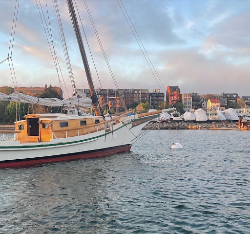 Classic Sail Boston