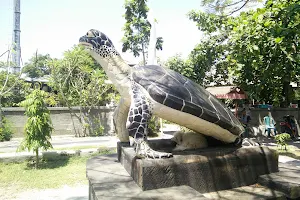 Turtle Conservation And Education Center image