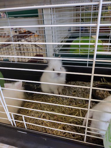 Pet Supply Store «Pet Partners», reviews and photos, 1962 W State St, Bristol, TN 37620, USA