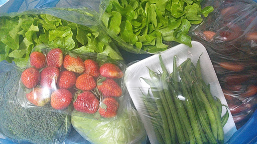 Logo da empresa - Sos Feira - E-commerce de Frutas e Verduras
