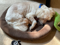 Petco - Photo 9 - Car repair in Woodbury, MN, Minneapolis