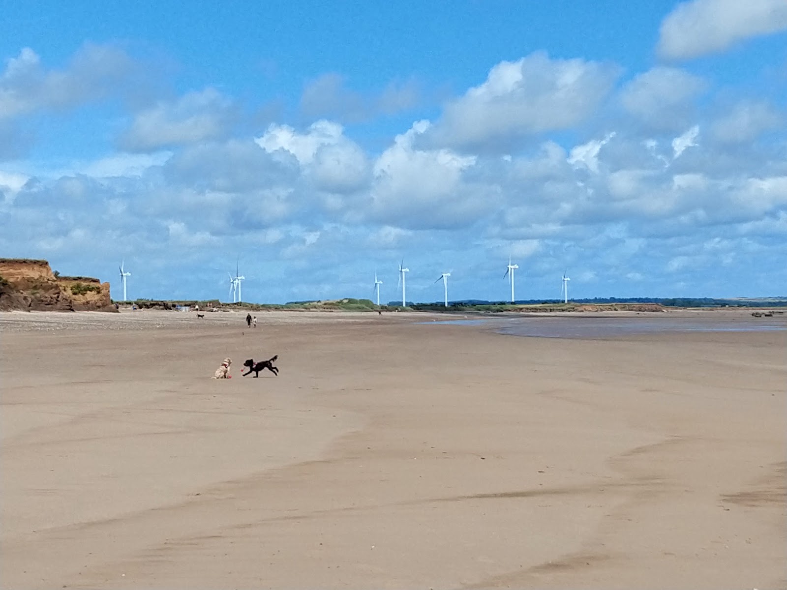 Foto af Barmston Beach vildt område