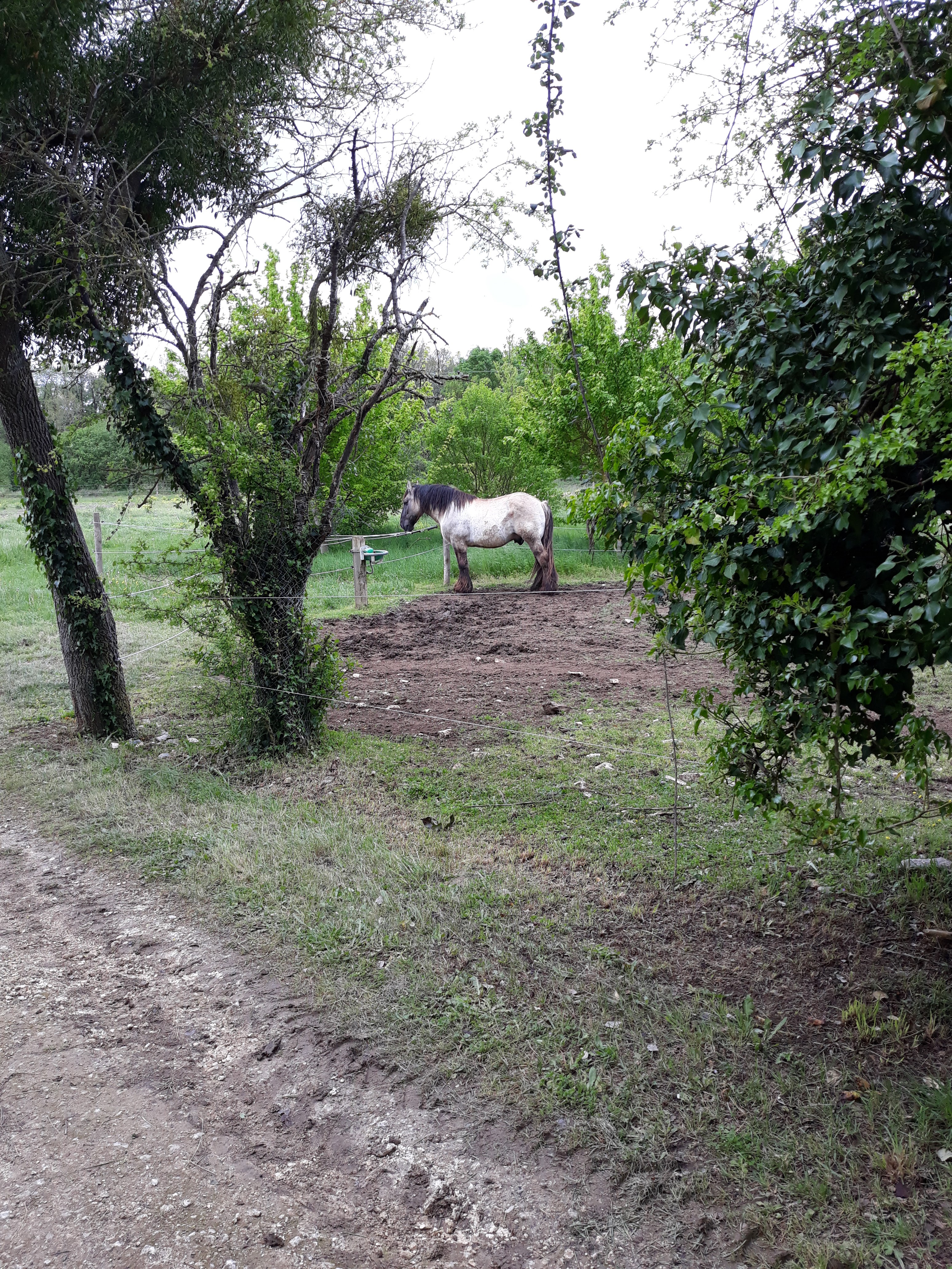 Photo n° 7 de l'avis de Nathalie.i fait le 28/04/2019 à 10:40