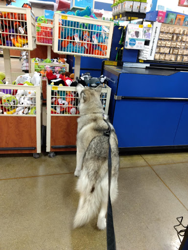 Pet Supply Store «PetSmart», reviews and photos, 20530 E 13 Mile Rd, Roseville, MI 48066, USA