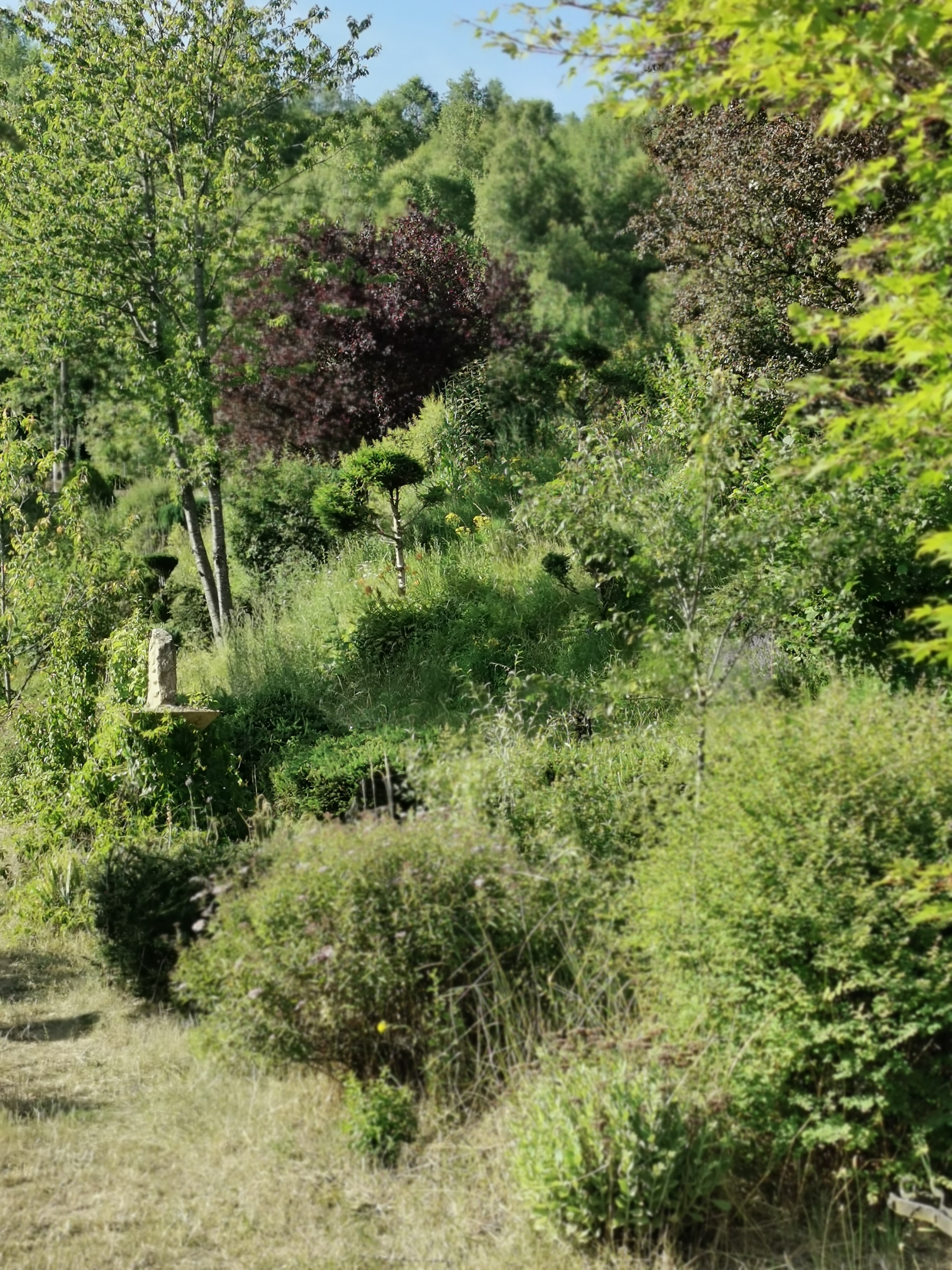 Photo n° 36 de l'avis de Phidis.a fait le 03/07/2019 à 17:43