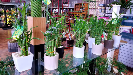 Florist «Flowerama of Plano», reviews and photos, 1151 W Parker Rd #200, Plano, TX 75023, USA