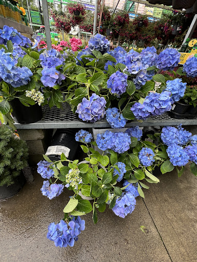 Home Improvement Store «The Home Depot», reviews and photos, 1325 Fones Rd SE, Olympia, WA 98501, USA