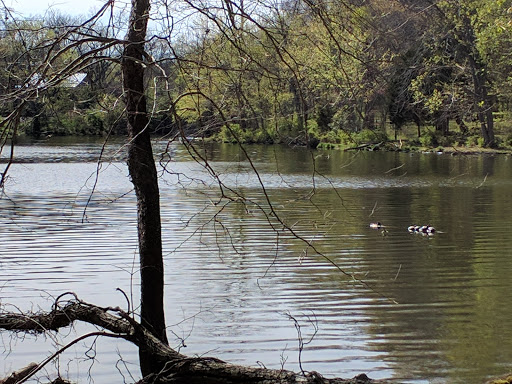 State Park «Radnor Lake State Park», reviews and photos, 1160 Otter Creek Rd, Nashville, TN 37220, USA