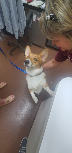 Pet Supply Store «Champion Feed & Pet Supply», reviews and photos, 2524 State Rte 37 E, Delaware, OH 43015, USA