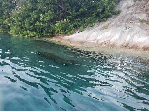 Canoe & Kayak Rental Service «Canoe Outfitters of Florida», reviews and photos, 9060 W Indiantown Rd, Jupiter, FL 33478, USA