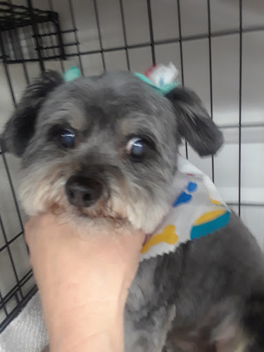 Pet Supply Store «Pets For You», reviews and photos, 413 N Main St, Rice Lake, WI 54868, USA