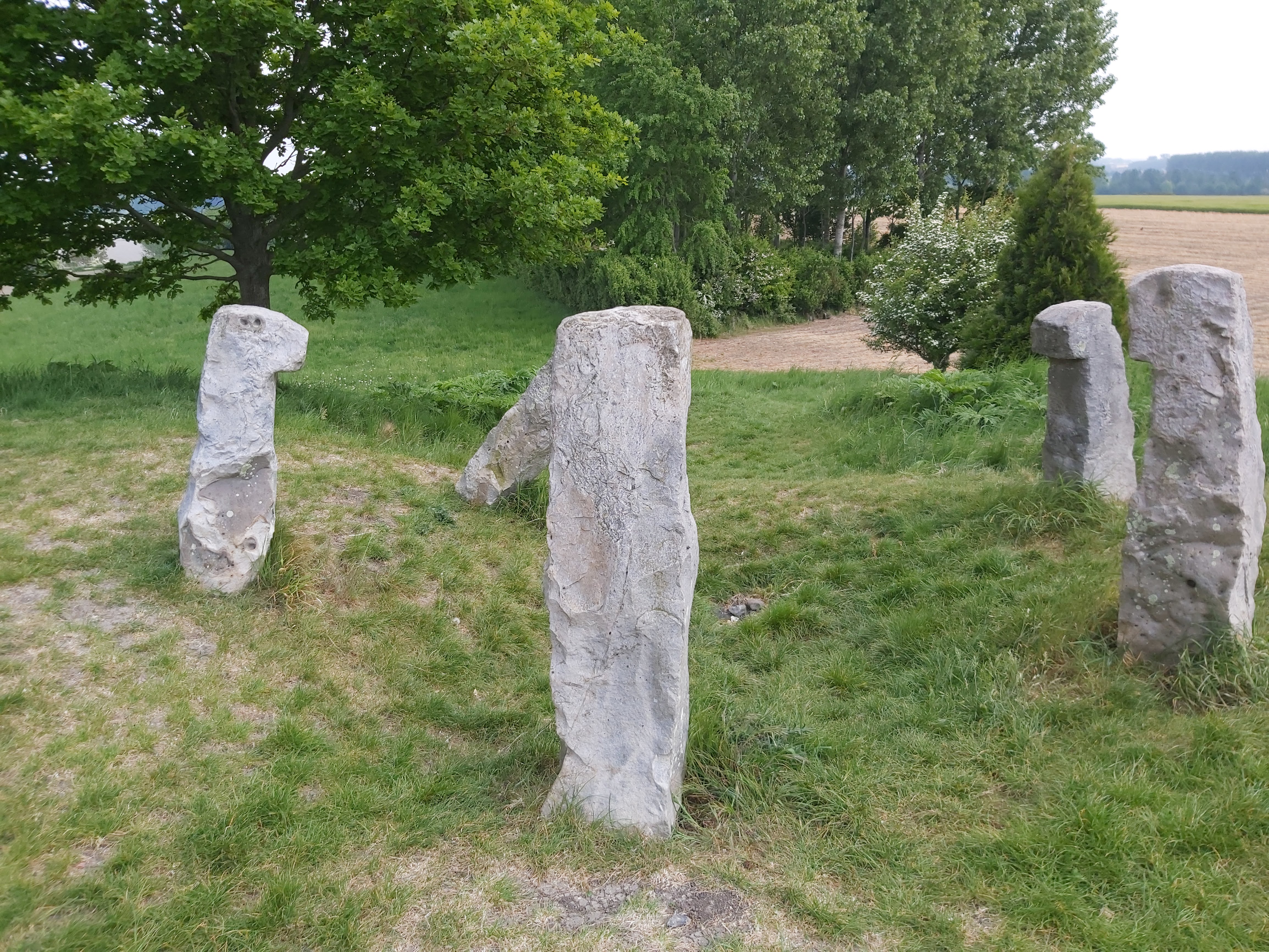 Photo n° 1 de l'avis de Gregory.e fait le 19/05/2022 à 15:31