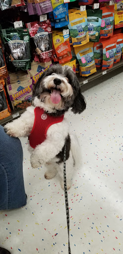 Pet Supply Store «Petco Animal Supplies», reviews and photos, 27111 167th Pl SE #113, Covington, WA 98042, USA