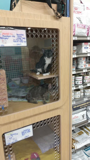Pet Supply Store «Petco Animal Supplies», reviews and photos, 517 N 3rd Pl, Manhattan, KS 66502, USA