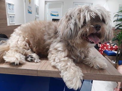 Vet Diagnosis