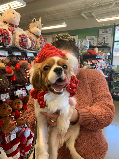 Pet Store «Choice Pet Market», reviews and photos, 4719 N 20th St A30, Phoenix, AZ 85016, USA