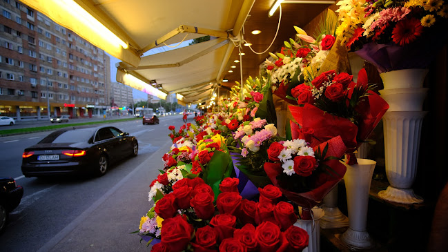 Piața de flori "Rotonda" - <nil>