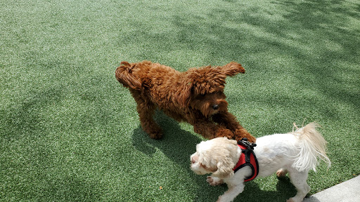 Dog Park «Church Square Park Dog Park», reviews and photos, 401-449 Willow Ave, Hoboken, NJ 07030, USA