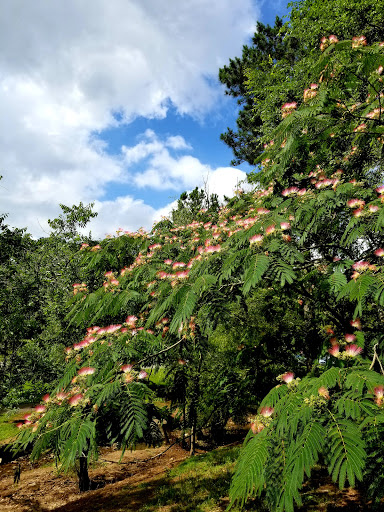 Park «Allsopp Park», reviews and photos, 3700 Cedar Hill Rd, Little Rock, AR 72202, USA