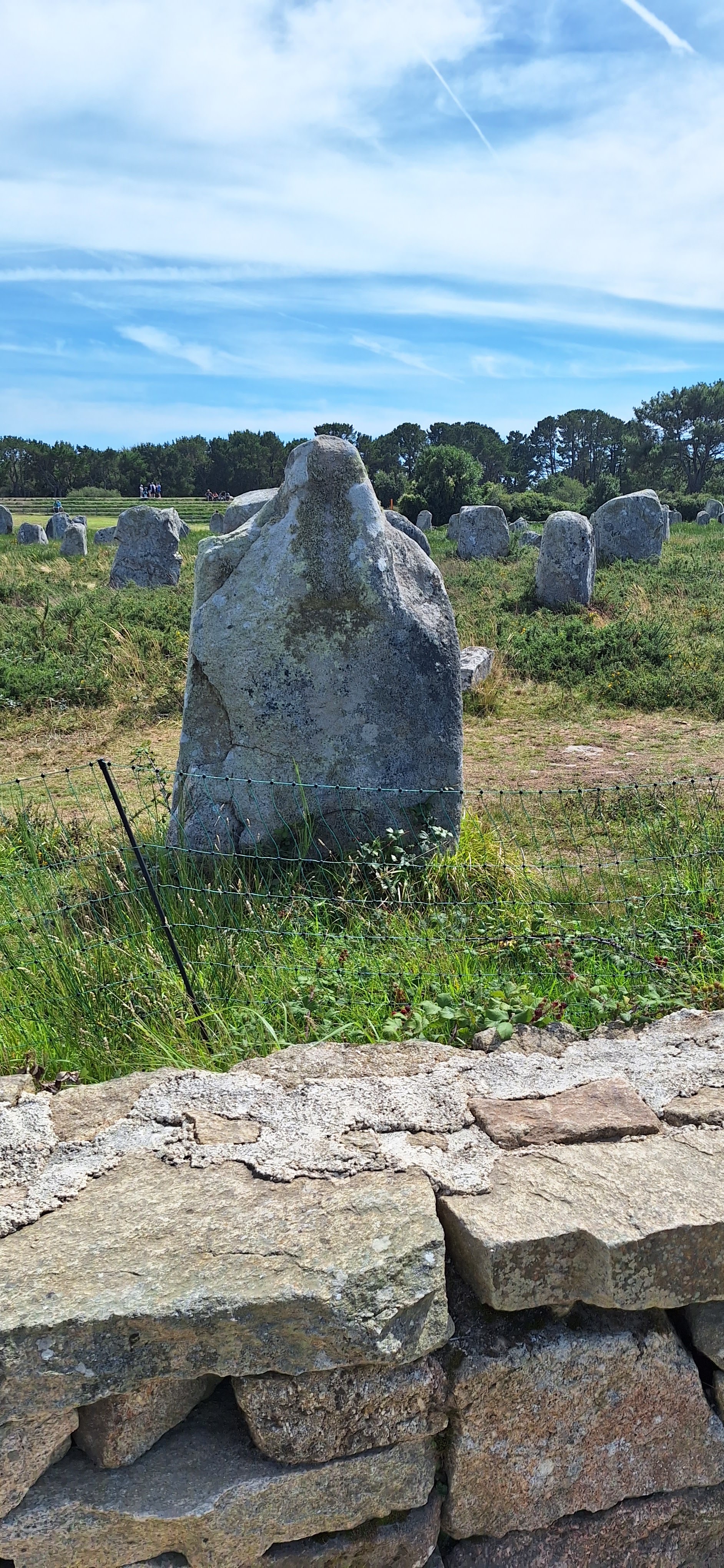 Photo n° 1 de l'avis de choupette.e fait le 16/08/2023 à 10:29