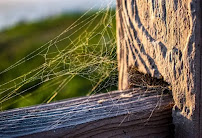 Peculiar Pixels Photography - Photo 4 - Car repair in , Lancaster