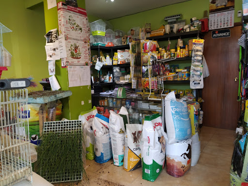 Tienda de animales y plantas Tema - Valladolid