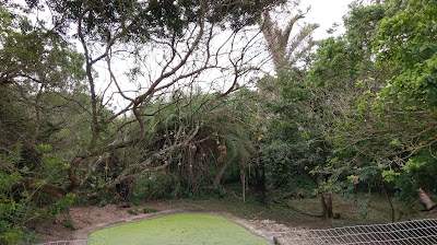 Photos of Crocodile Centre St Lucia