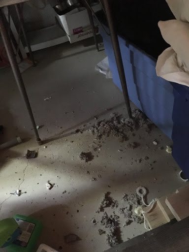 Window Installation Service «Comfort Windows», reviews and photos