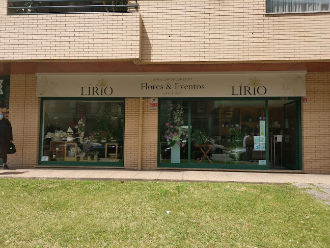 Lírio - Flores & Eventos (decoração e venda em loja e online)