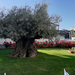 Photo n°4 de l'avis de PhotoSquare.0 fait le 01/06/2022 à 17:29 sur le  Hotel Sogaris Paestum à Paestum