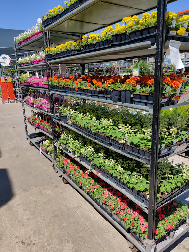 Home Improvement Store «The Home Depot», reviews and photos, 9855 N Michigan Rd, Carmel, IN 46032, USA