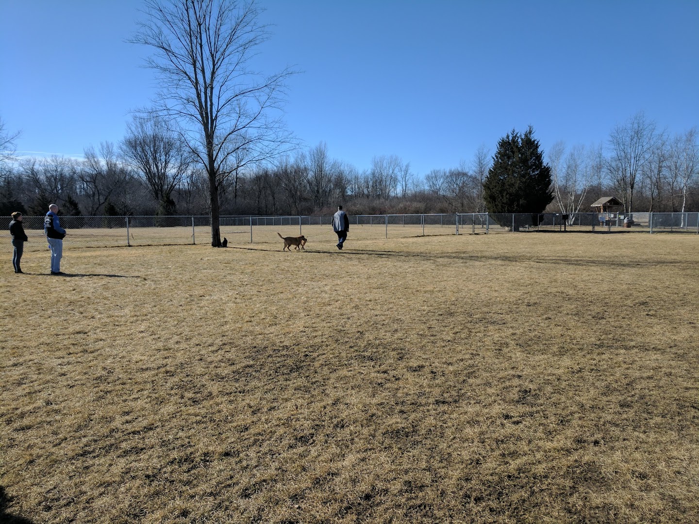 Hound Town Dog Park