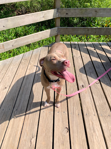 State Park «Myrtle Beach State Park», reviews and photos, 4401 S Kings Hwy, Myrtle Beach, SC 29575, USA