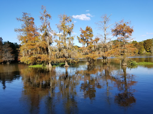 Park «Leake County Water Park», reviews and photos, 1190 Park Rd, Lena, MS 39094, USA