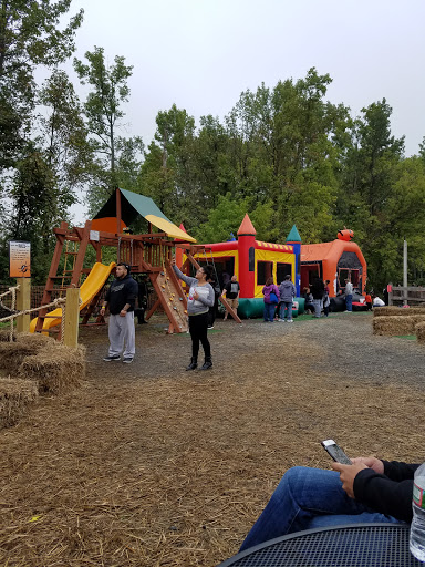 Garden Center «Dragonfly Farms», reviews and photos, 966 Kuser Rd, Trenton, NJ 08619, USA