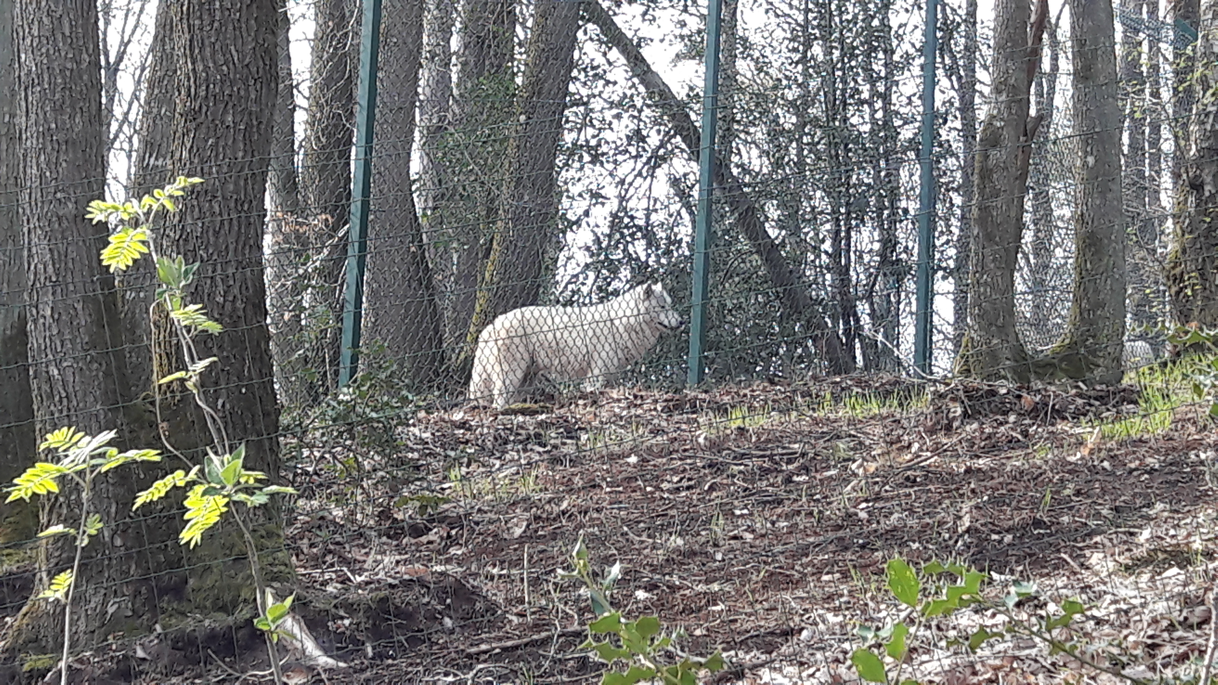 Photo n° 6 de l'avis de Lucas. fait le 29/05/2019 à 21:56