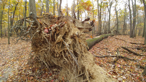 Park «Cleveland Metroparks», reviews and photos, 1969 W Ridgewood Dr, Cleveland, OH 44134, USA