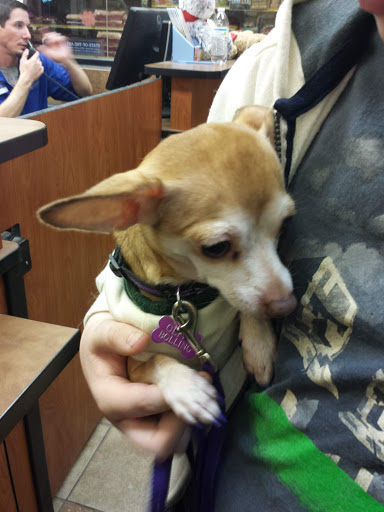 Pet Supply Store «PetSmart», reviews and photos, 11835 Retail Dr, Wake Forest, NC 27587, USA